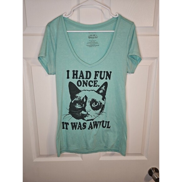 Grumpy Cat T Shirt Womens Large Teal I Had Fun Once It Was Awful Official Grumpy - Picture 1 of 4